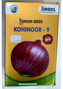 Kohinoor 9 Onion 